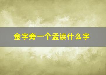 金字旁一个孟读什么字