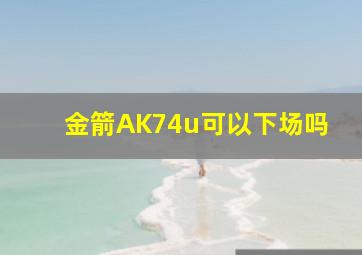 金箭AK74u可以下场吗