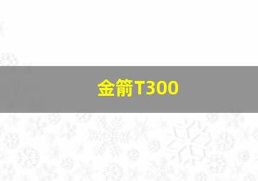 金箭T300