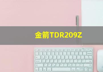 金箭TDR209Z