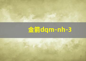 金箭dqm-nh-3