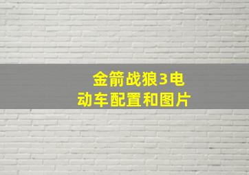 金箭战狼3电动车配置和图片