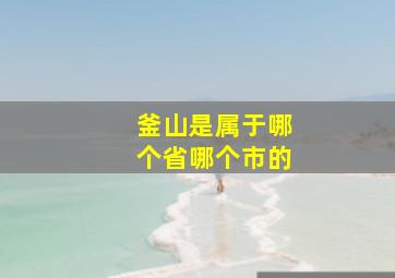 釜山是属于哪个省哪个市的