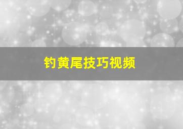 钓黄尾技巧视频