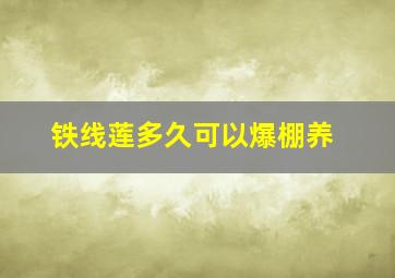 铁线莲多久可以爆棚养