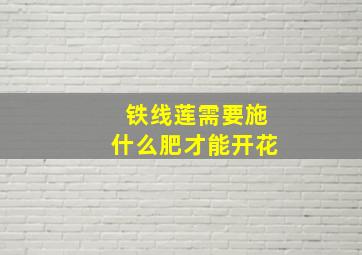 铁线莲需要施什么肥才能开花