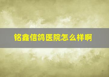 铭鑫信鸽医院怎么样啊