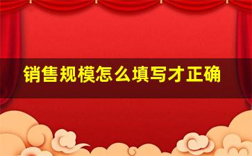 销售规模怎么填写才正确