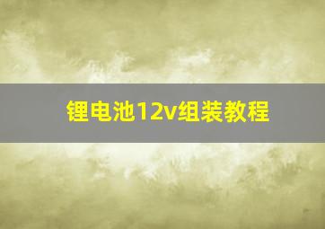 锂电池12v组装教程