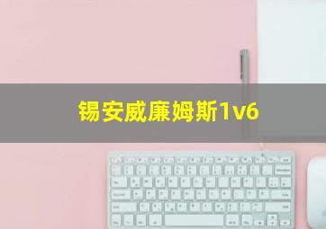 锡安威廉姆斯1v6