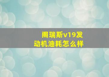 阁瑞斯v19发动机油耗怎么样