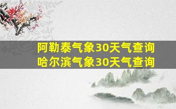 阿勒泰气象30天气查询哈尔滨气象30天气查询