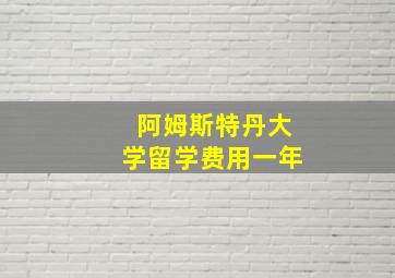 阿姆斯特丹大学留学费用一年