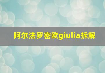 阿尔法罗密欧giulia拆解