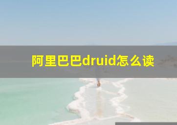 阿里巴巴druid怎么读