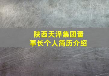 陕西天泽集团董事长个人简历介绍