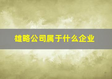 雄略公司属于什么企业