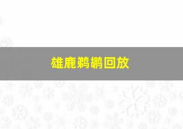 雄鹿鹈鹕回放