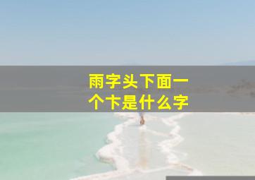 雨字头下面一个卞是什么字