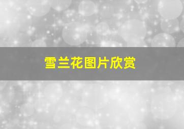 雪兰花图片欣赏