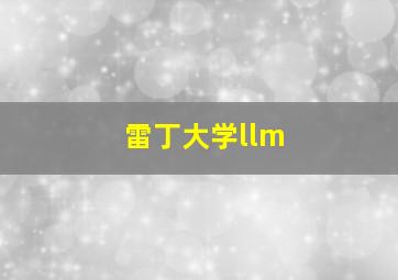 雷丁大学llm