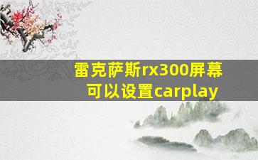 雷克萨斯rx300屏幕可以设置carplay