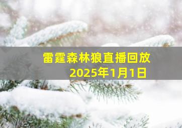 雷霆森林狼直播回放2025年1月1日