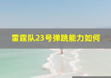 雷霆队23号弹跳能力如何