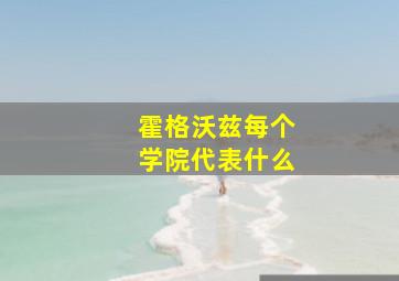 霍格沃兹每个学院代表什么