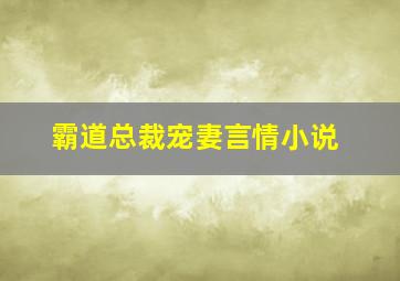 霸道总裁宠妻言情小说