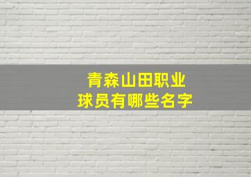 青森山田职业球员有哪些名字