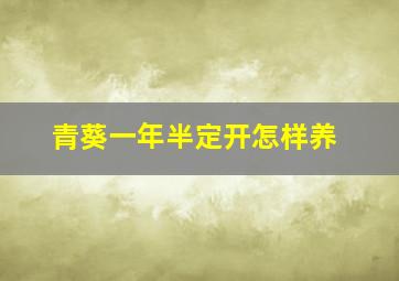 青葵一年半定开怎样养