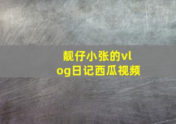 靓仔小张的vlog日记西瓜视频