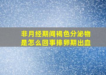 非月经期间褐色分泌物是怎么回事排卵期出血