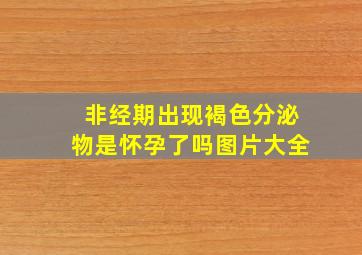 非经期出现褐色分泌物是怀孕了吗图片大全