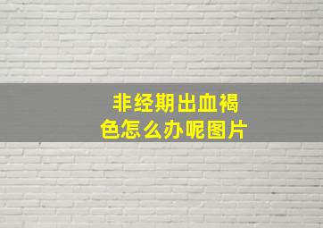 非经期出血褐色怎么办呢图片