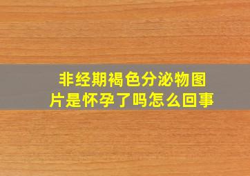 非经期褐色分泌物图片是怀孕了吗怎么回事