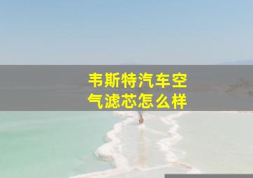 韦斯特汽车空气滤芯怎么样