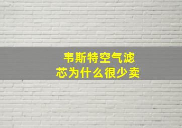 韦斯特空气滤芯为什么很少卖