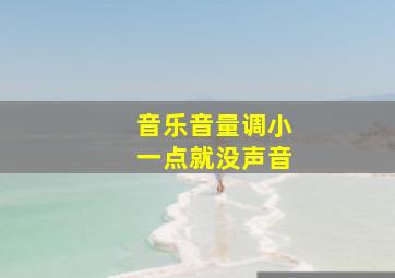 音乐音量调小一点就没声音