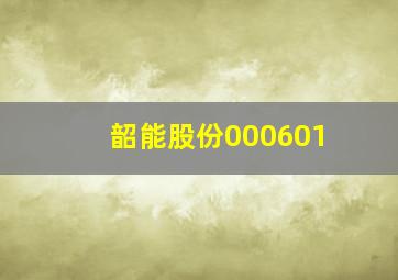 韶能股份000601