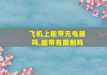 飞机上能带充电器吗,能带有限制吗