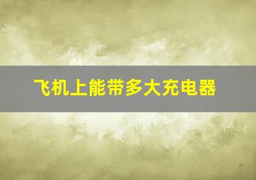 飞机上能带多大充电器