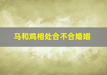 马和鸡相处合不合婚姻