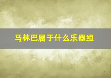 马林巴属于什么乐器组