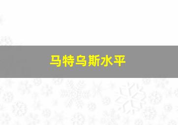 马特乌斯水平