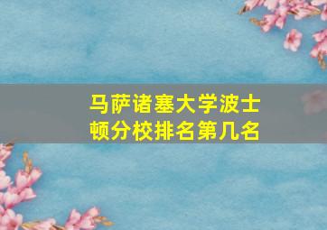 马萨诸塞大学波士顿分校排名第几名