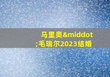 马里奥·毛瑞尔2023结婚