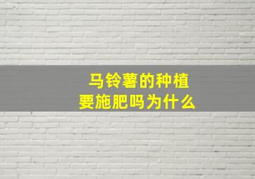 马铃薯的种植要施肥吗为什么