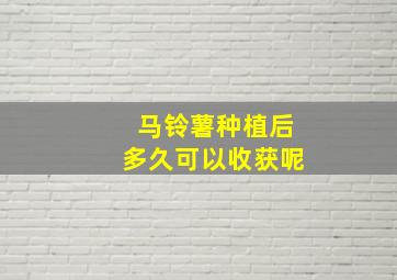 马铃薯种植后多久可以收获呢